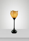 Seaflower Glass Acacia Table Lamp